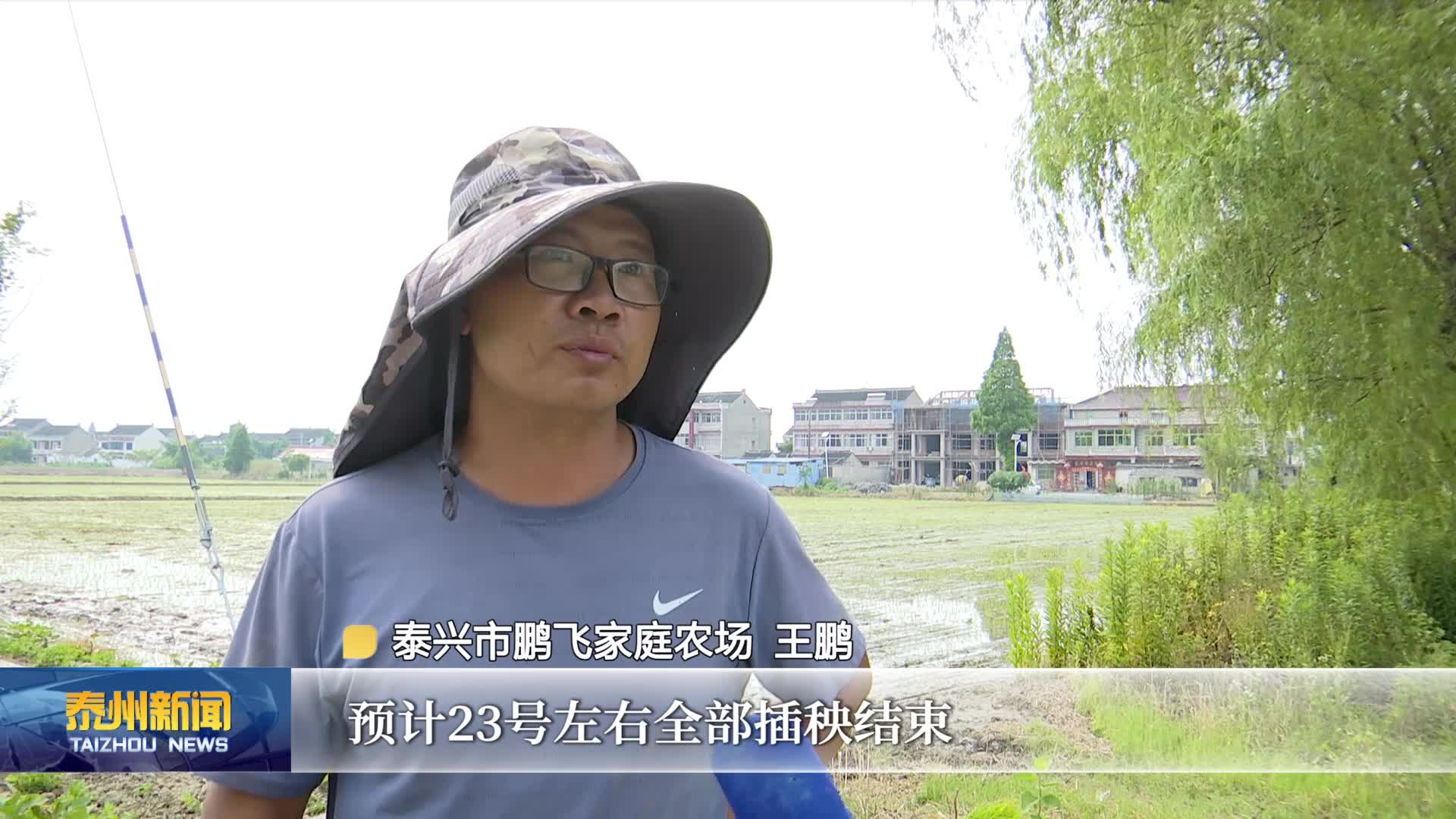 在希望的田野上  机械化赋能夏种 水稻栽插全速推进